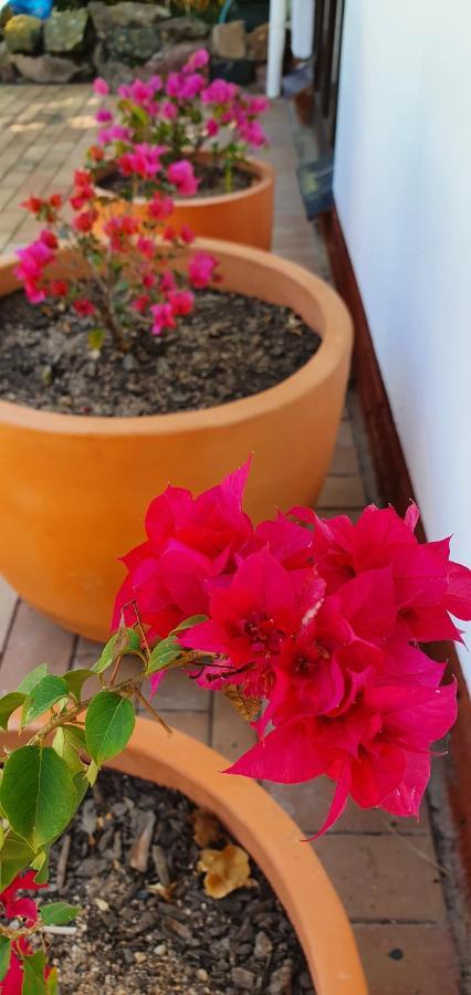 Summer Sand Holiday Cottages Scottburgh Eksteriør billede
